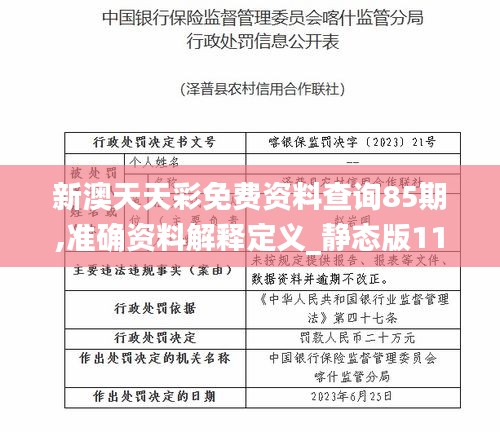 新澳天天彩免费资料查询85期,准确资料解释定义_静态版110.584