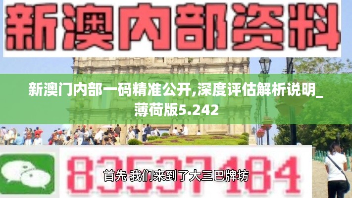 新澳门内部一码精准公开,深度评估解析说明_薄荷版5.242