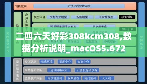 二四六天好彩308kcm308,数据分析说明_macOS5.672