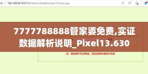 7777788888管家婆免费,实证数据解析说明_Pixel13.630