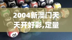 2004新澳门天天开好彩,定量分析解释定义_豪华版10.172