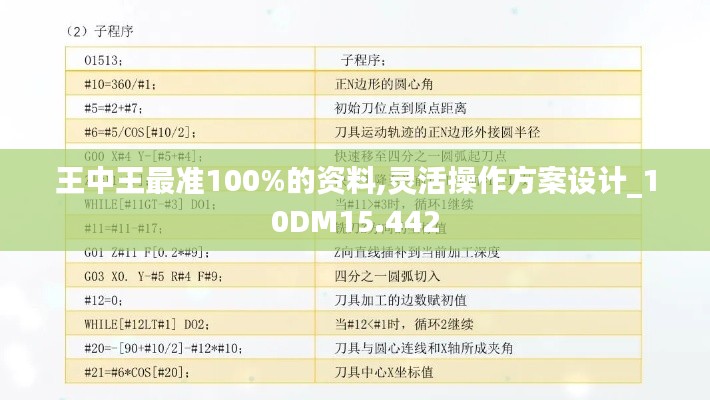 王中王最准100%的资料,灵活操作方案设计_10DM15.442