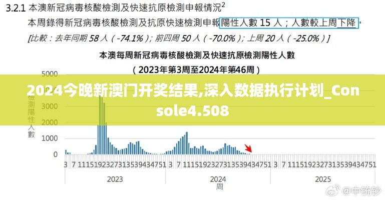 2024今晚新澳门开奖结果,深入数据执行计划_Console4.508