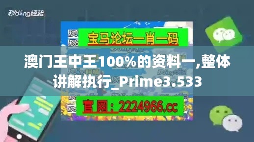 澳门王中王100%的资料一,整体讲解执行_Prime3.533