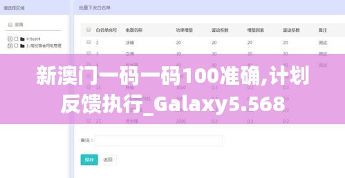 新澳门一码一码100准确,计划反馈执行_Galaxy5.568