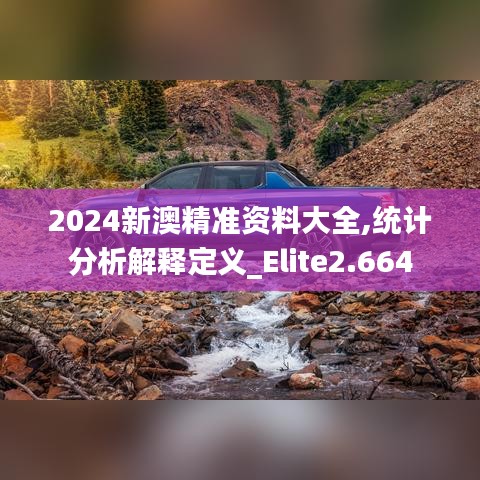 2024新澳精准资料大全,统计分析解释定义_Elite2.664