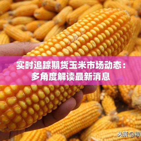 实时追踪期货玉米市场动态：多角度解读最新消息