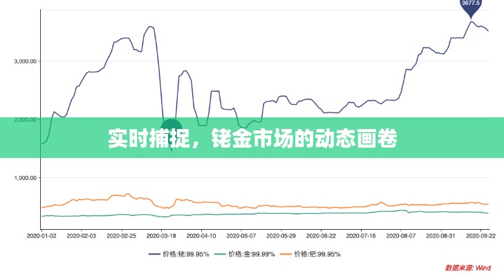 实时捕捉，铑金市场的动态画卷