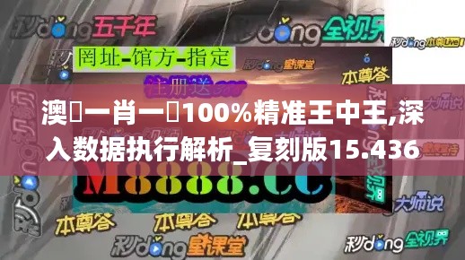 澳門一肖一碼100%精准王中王,深入数据执行解析_复刻版15.436