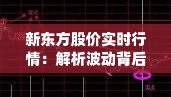 新东方股价实时行情：解析波动背后的市场逻辑