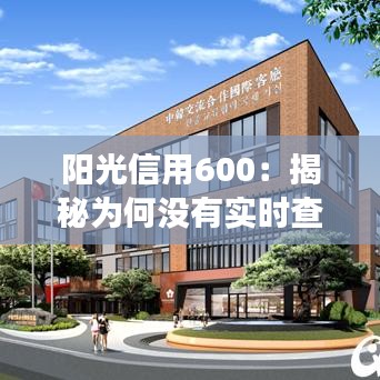 阳光信用600：揭秘为何没有实时查询功能