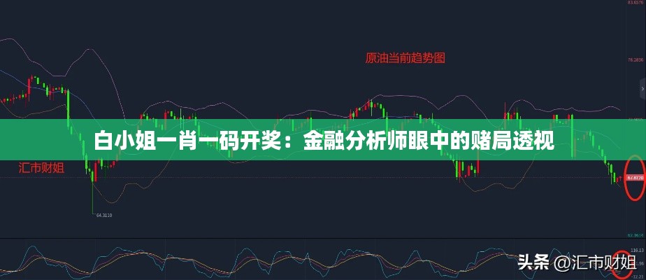 白小姐一肖一码开奖：金融分析师眼中的赌局透视