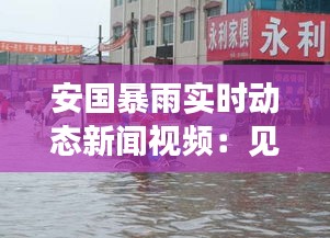 安国暴雨实时动态新闻视频：见证大自然的力量与城市的坚韧