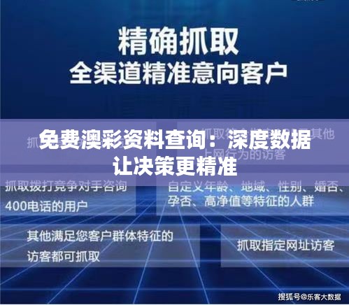 免费澳彩资料查询：深度数据让决策更精准