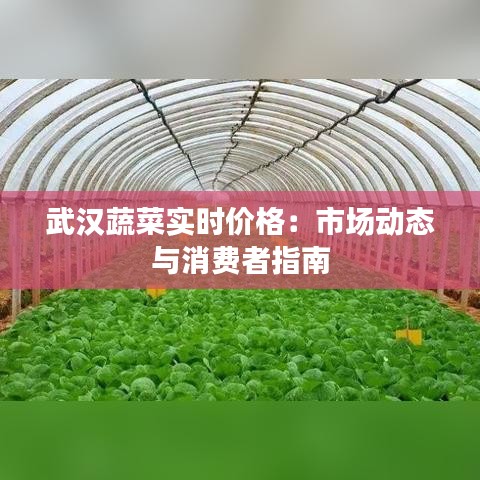 武汉蔬菜实时价格：市场动态与消费者指南