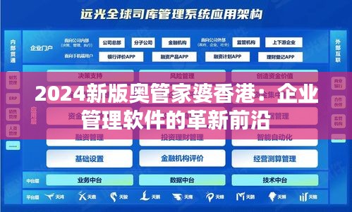 2024新版奥管家婆香港：企业管理软件的革新前沿