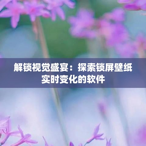 解锁视觉盛宴：探索锁屏壁纸实时变化的软件