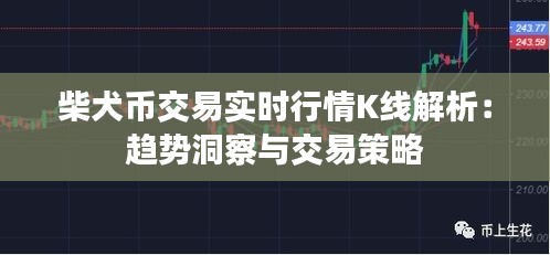 柴犬币交易实时行情K线解析：趋势洞察与交易策略