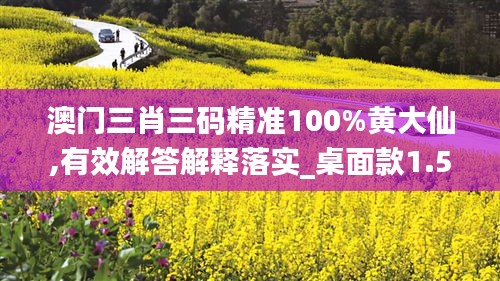 澳门三肖三码精准100%黄大仙,有效解答解释落实_桌面款1.564