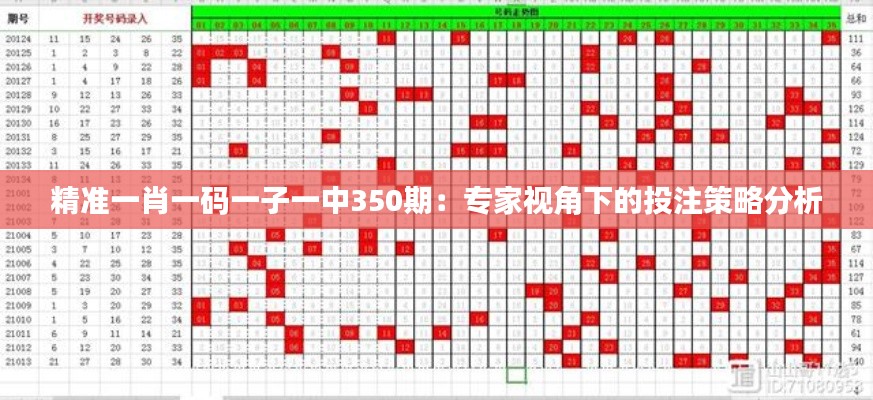 精准一肖一码一子一中350期：专家视角下的投注策略分析