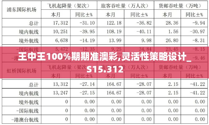 王中王100%期期准澳彩,灵活性策略设计_S15.312