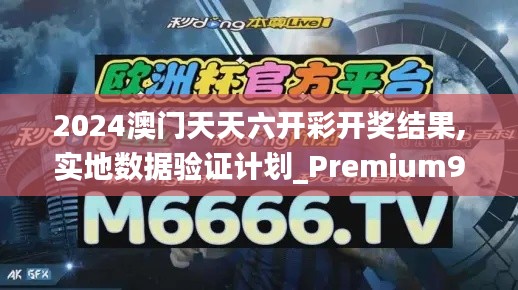 2024澳门天天六开彩开奖结果,实地数据验证计划_Premium9.988