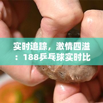 实时追踪，激情四溢：188乒乓球实时比分为您带来不间断的竞技盛宴