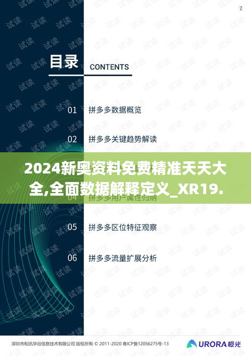 2024新奥资料免费精准天天大全,全面数据解释定义_XR19.990