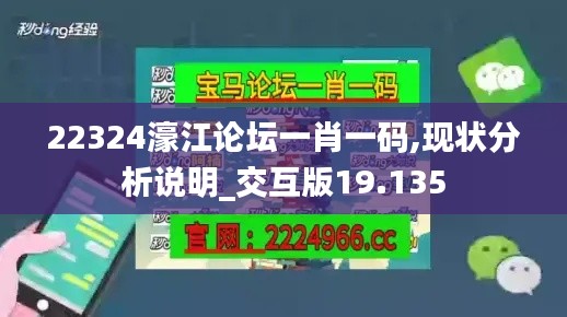 22324濠江论坛一肖一码,现状分析说明_交互版19.135