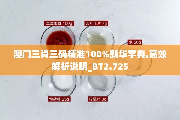 澳门三肖三码精准100%新华字典,高效解析说明_BT2.725