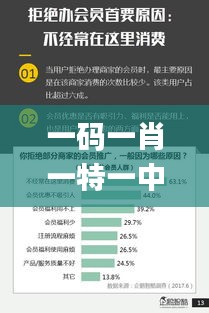 一码一肖一特一中,数据支持设计解析_挑战版10.216