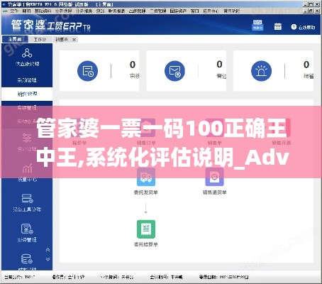 管家婆一票一码100正确王中王,系统化评估说明_Advance7.729
