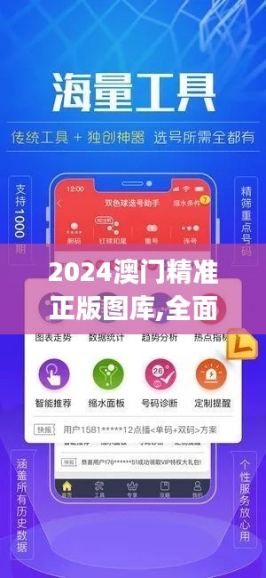 2024澳门精准正版图库,全面设计实施策略_限量款2.582