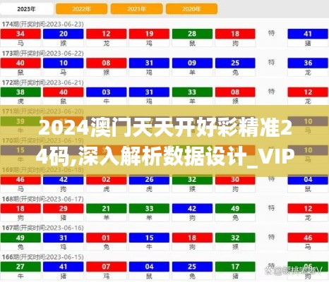 2024澳门天天开好彩精准24码,深入解析数据设计_VIP10.821