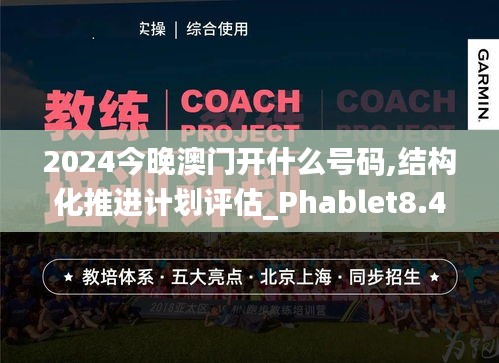 2024今晚澳门开什么号码,结构化推进计划评估_Phablet8.463