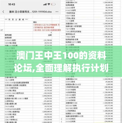 澳门王中王100的资料论坛,全面理解执行计划_W9.216