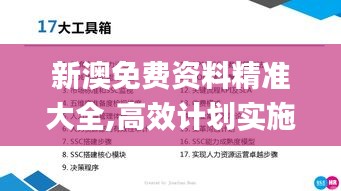 新澳免费资料精准大全,高效计划实施解析_粉丝版10.290