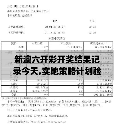 夯雀儿先飞 第2页