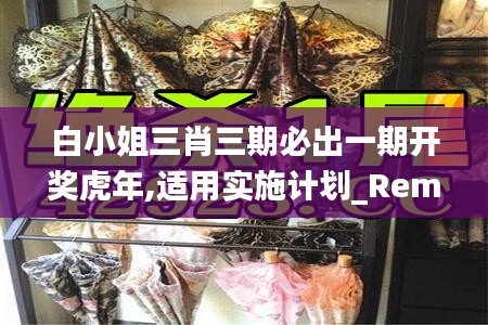 白小姐三肖三期必出一期开奖虎年,适用实施计划_RemixOS10.150