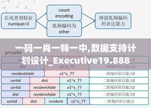 一码一肖一特一中,数据支持计划设计_Executive19.888