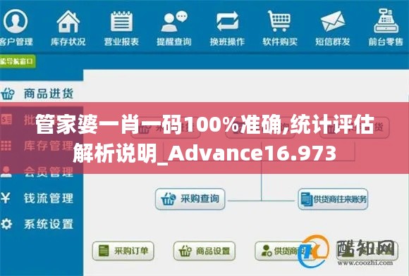 管家婆一肖一码100%准确,统计评估解析说明_Advance16.973