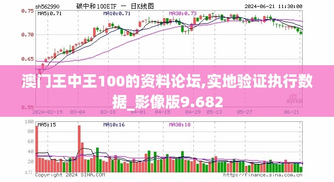 澳门王中王100的资料论坛,实地验证执行数据_影像版9.682