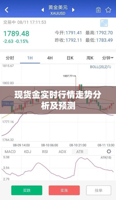 2024年12月16日 第67页