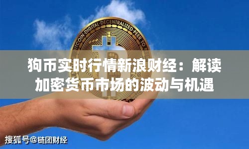 狗币实时行情新浪财经：解读加密货币市场的波动与机遇