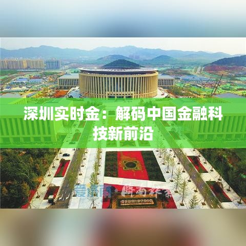 深圳实时金：解码中国金融科技新前沿