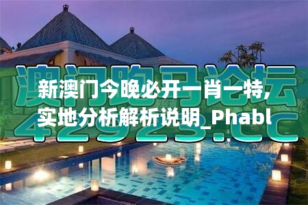 新澳门今晚必开一肖一特,实地分析解析说明_Phablet110.277