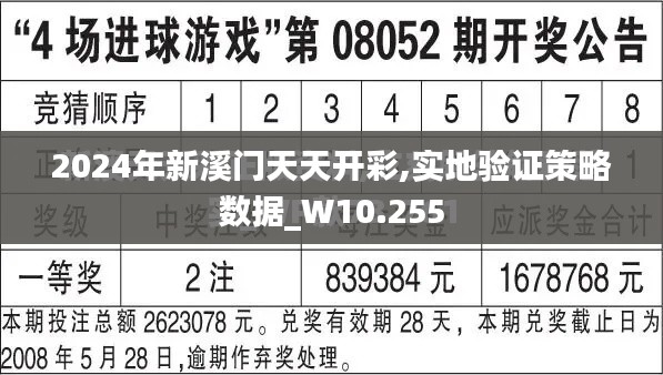 2024年新溪门天天开彩,实地验证策略数据_W10.255