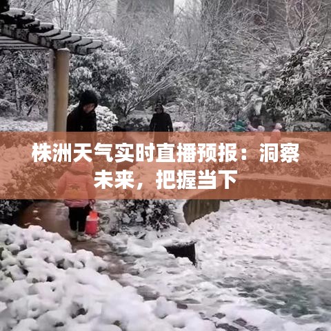 株洲天气实时直播预报：洞察未来，把握当下