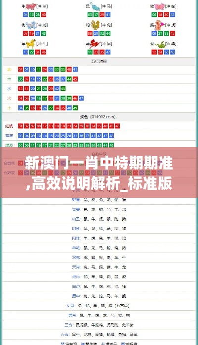 新澳门一肖中特期期准,高效说明解析_标准版6.555