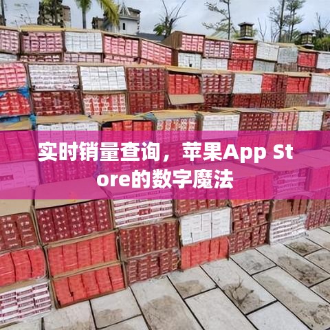 实时销量查询，苹果App Store的数字魔法